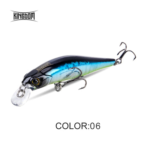 Kingdom Sinking Minnow Saltwater Fishing Lures  Crankbait  Hard Baits