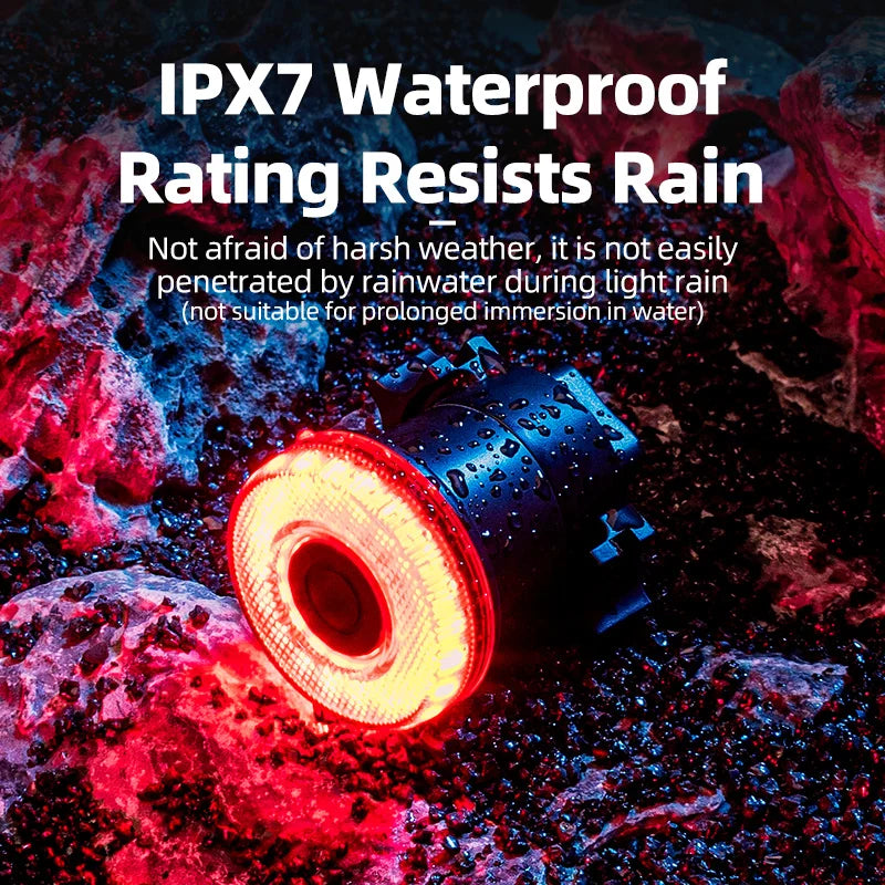 ROCKBROS Smart Bike Tail Light Bicycle Rear Lights IPX6 Waterproof