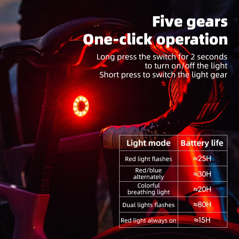 ROCKBROS Bicycle Tail Light Smart Brake Sensing Rear Bike Light