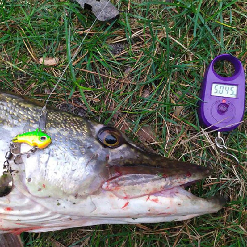 5Pcs/Box Metal Mini VIB With Spoon Fishing Lure 5g 7g 10g 14g  Fishing