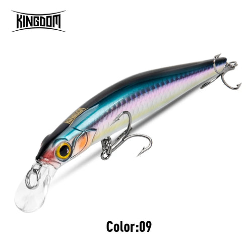 Kingdom Sinking Minnow Saltwater Fishing Lures  Crankbait  Hard Baits
