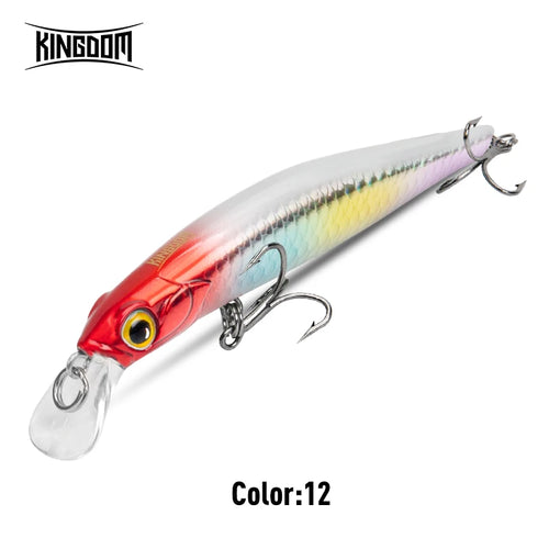 Kingdom Sinking Minnow Saltwater Fishing Lures  Crankbait  Hard Baits