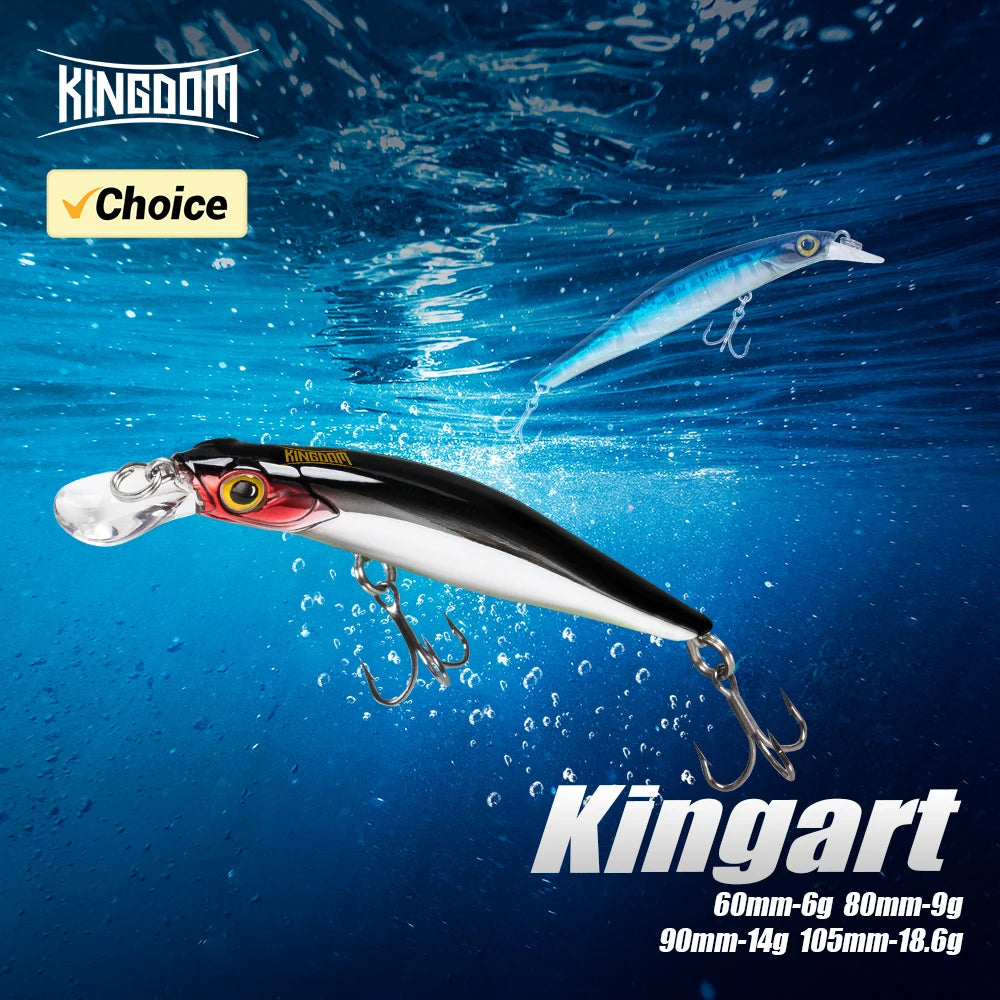 Kingdom Sinking Minnow Saltwater Fishing Lures  Crankbait  Hard Baits