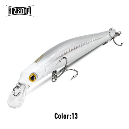 Kingdom Sinking Minnow Saltwater Fishing Lures  Crankbait  Hard Baits