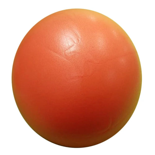 New 25cm Yoga Ball Exercise Gymnastic Fitness Pilates Ball Balance