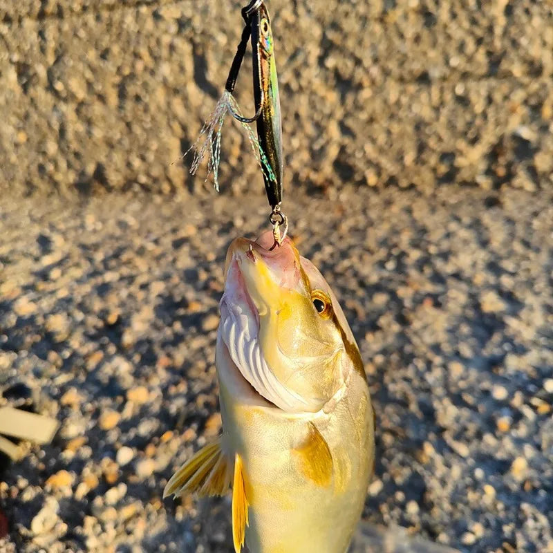 Metal Jig Fishing Lure 10g 20g Cast Hook Swimbait 3D Laser Wobbler